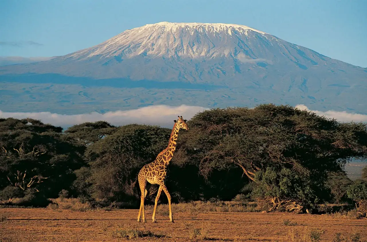 Kilimanjaro Routes - 7 routes · 6–9 days